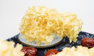 每晚吃银耳有什么好处 每晚吃银耳的功效有哪些