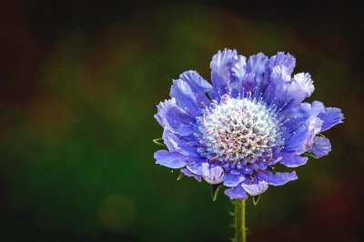 双子座女生喜欢一个人的表现准到爆 遇到真正喜欢的人状态