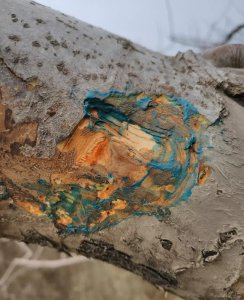 果园如何进行春季清园 果树春季清园的主要内容及方法