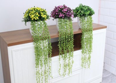 垂吊满天星怎么浇水 一般几天浇一次水好