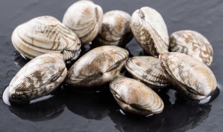 怎么快速清洗花甲 快速清洗花甲的方法