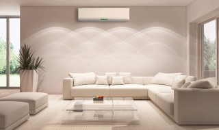 客厅里摆放绿植好不好呢 客厅里摆放绿植是否有好处