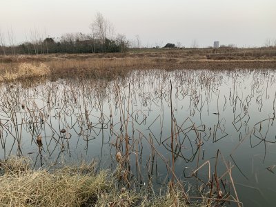 钓鱼打窝方法与技巧 钓鱼打窝必须掌握的三种最好方法