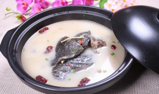 女孩子吃甲鱼的好处和坏处 女孩子吃甲鱼对人有什么好处和坏处呢