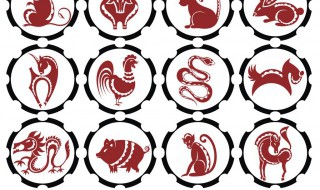 生肖龙适合养什么植物 生肖龙适合养哪些植物