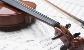 小提琴松香的挑选方法 小提琴松香怎么挑选