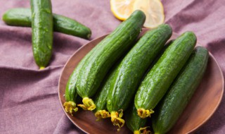 西红柿和黄瓜能一起生吃吗 西红柿和黄瓜适合一起生食吗