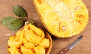 木菠萝种子盆栽种植方法 木菠萝种植方法与注意事项