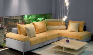 客厅过道适合养什么花草 客厅过道适合养哪些花草