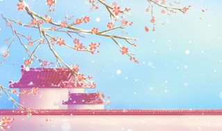 地瓜花冬天怎么保存 地瓜花冬天如何保存