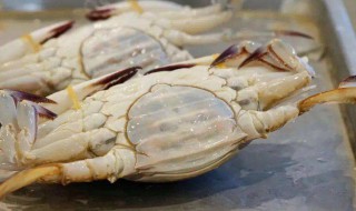如何挑选新鲜梭子蟹 怎么选购新鲜梭子蟹