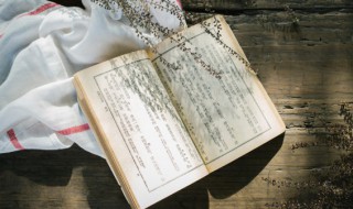 早安心语一句话正能量 早安心语正能量语句精选