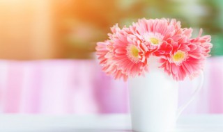 怎么让新鲜花保鲜好一些 鲜花如何保鲜