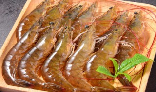 虾可以和羊肉一起吃吗 虾和羊肉能不能一起吃