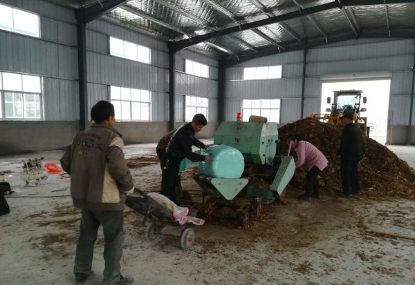 养十头牛一年的利润多少