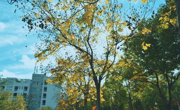 云南职业技术学院有哪些