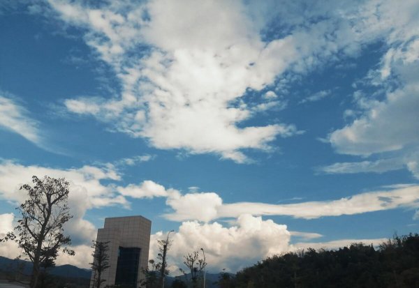 云南职业技术学院有哪些