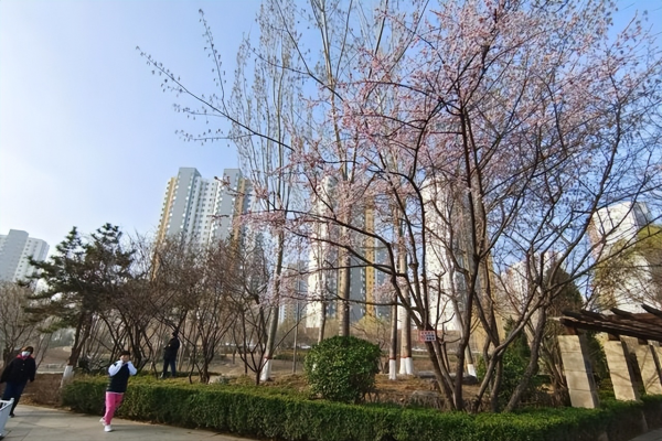 保定旅游景点有哪些地方介绍