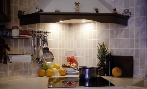 厨房常见虫子图片及处理办法