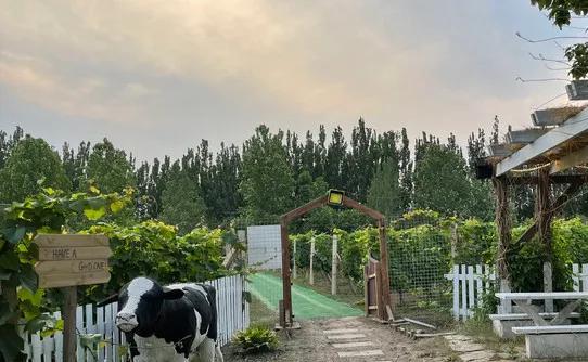 北京露营地点推荐