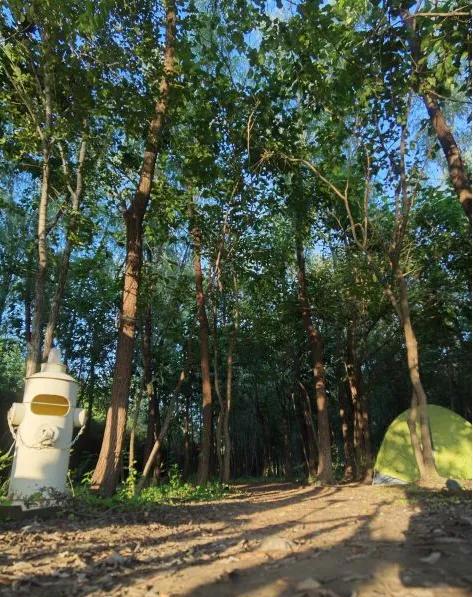 北京露营地点推荐