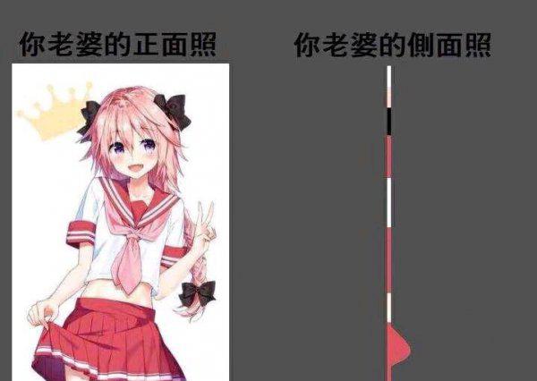 二次元词汇纸片人是什么意思