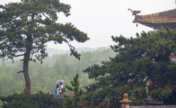 夏季平均气温最低的地方