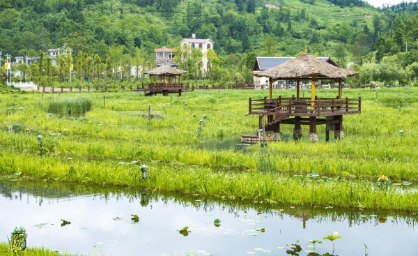 夏季平均气温最低的地方