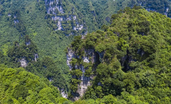 夏季平均气温最低的地方