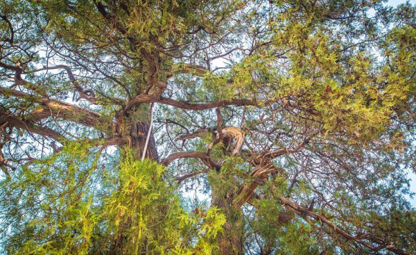 赞皇县旅游景点有哪些