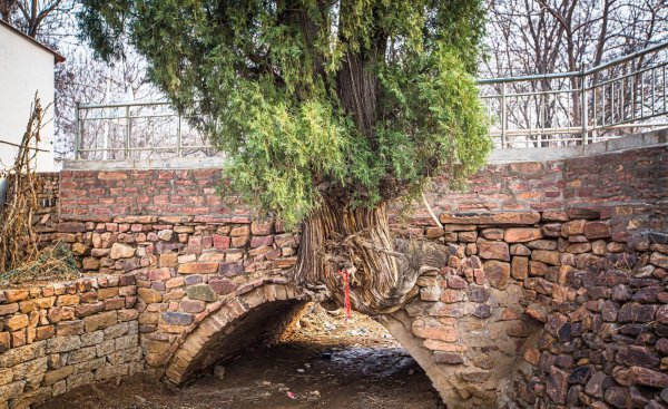 赞皇县旅游景点有哪些