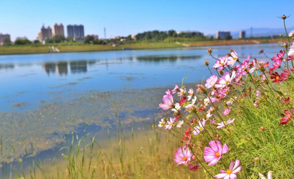 赞皇县旅游景点有哪些
