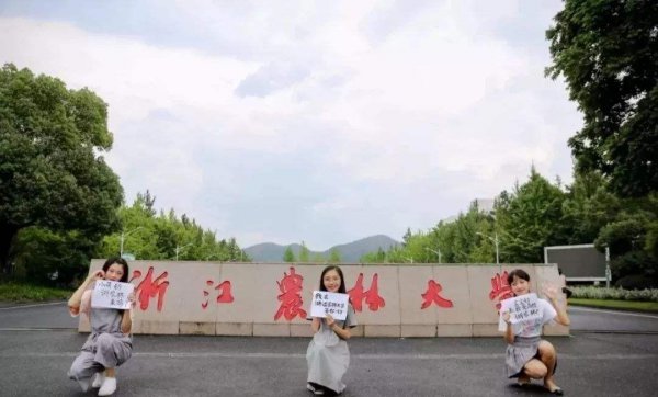 浙江农林大学是211还是985院校