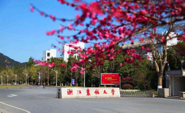 浙江农林大学是211还是985院校