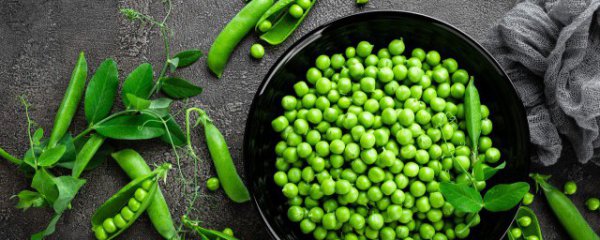 新鲜的豌豆怎么保存