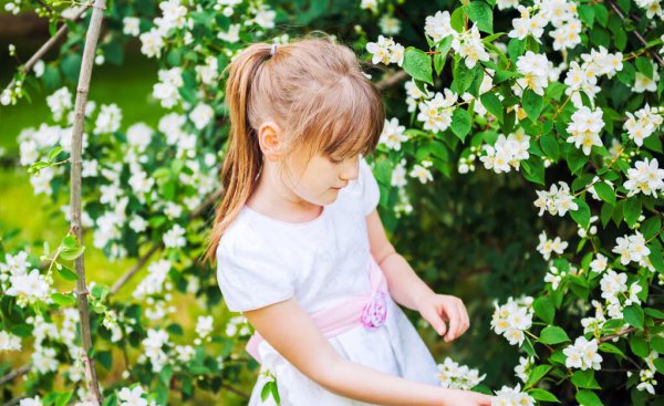 十二星座的守护公主