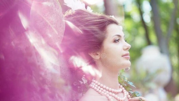 十二星座的守护公主