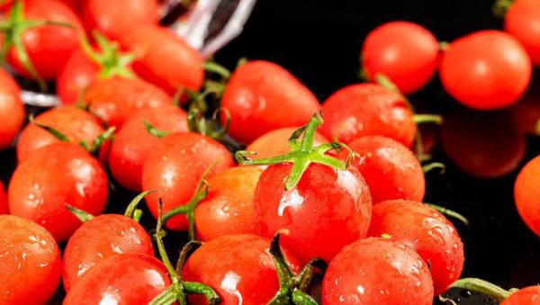 适合阳台种植的多年生蔬菜