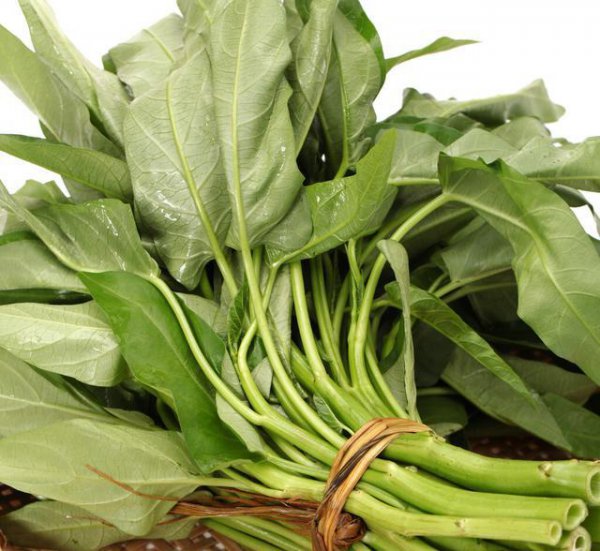 适合阳台种植的多年生蔬菜