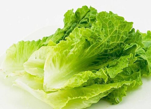 生菜炭疽病的发病原因与治疗方法