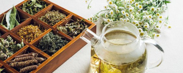 胖子喝什么茶减肥最好