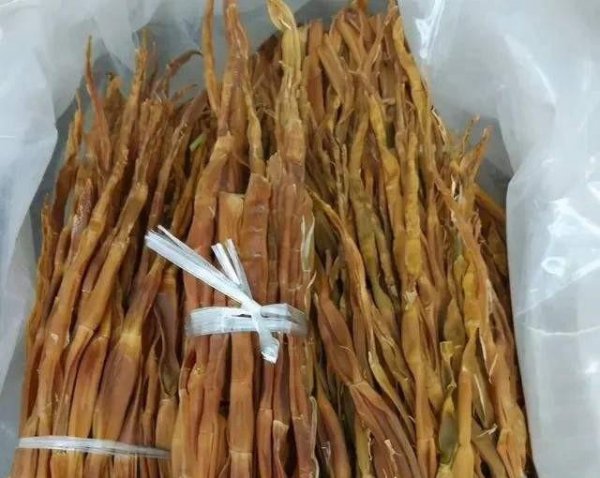 干笋片需要泡多长时间才可以吃