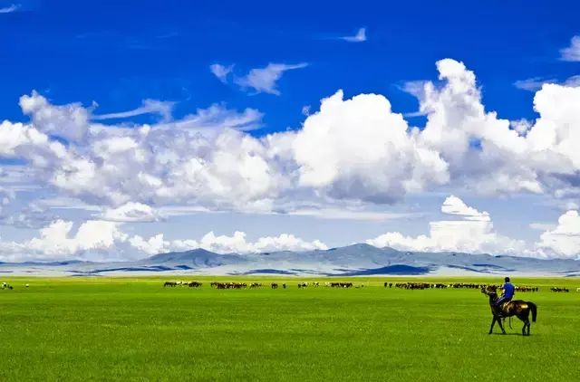 呼伦贝尔是哪个省的城市