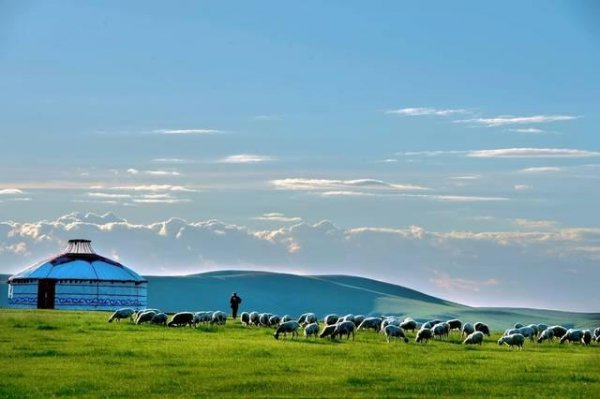 呼伦贝尔是哪个省的城市