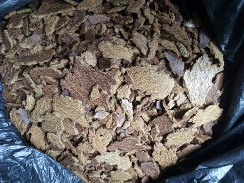 菜籽饼打窝钓什么鱼