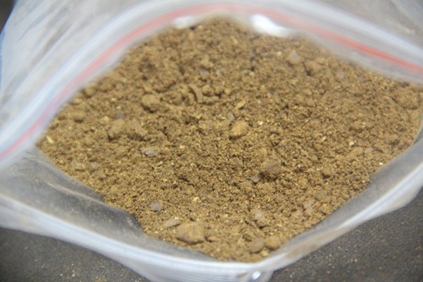 菜籽饼打窝钓什么鱼