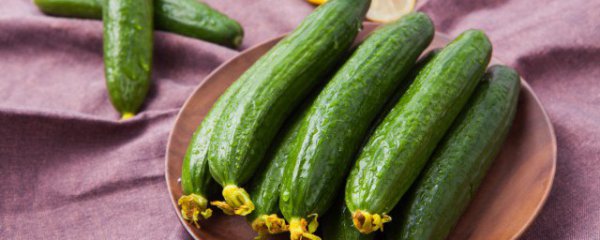 黄瓜怎么存放时间长