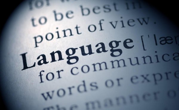 汉语言文学专业学什么就业方向