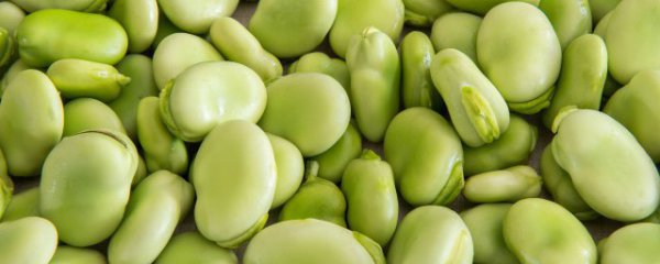 新鲜蚕豆怎么长期保鲜