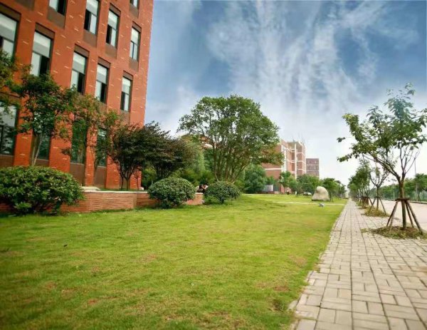 武汉科技大学城市学院是几本学院